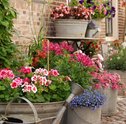 Confira Dicas para Deixar seu Jardim com Decoração Rústica