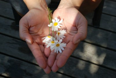 Comprar Flores Pela Internet Oferece Mais Comodidade para Você!