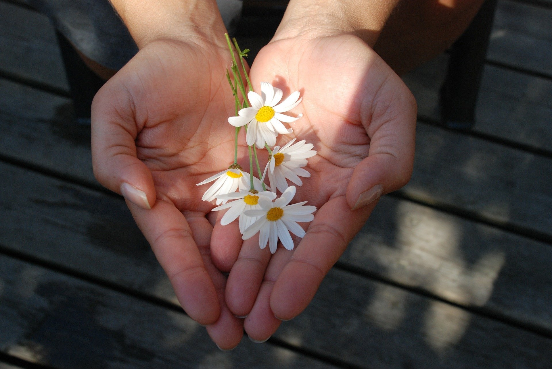 Comprar Flores Pela Internet Oferece Mais Comodidade para Você!