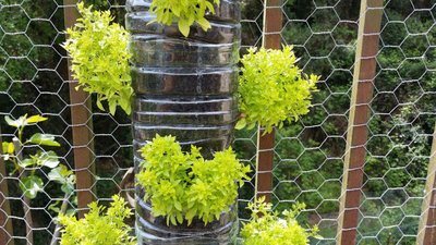 Faça um Jardim Vertical com Materiais Recicláveis