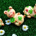 Plantas da Sorte — Deseje Boa Sorte com Flores