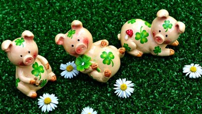 Plantas da Sorte — Deseje Boa Sorte com Flores