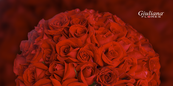 As mais belas opções de flores para o pedido de casamento!