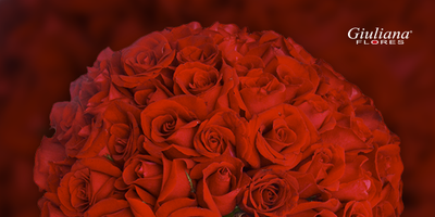 As mais belas opções de flores para o pedido de casamento!