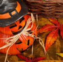 Decoração de Halloween é com a Giuliana Flores