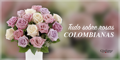 Saiba tudo sobre rosas colombianas