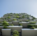 Como Montar um Jardim em Apartamento