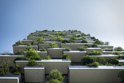 Como Montar um Jardim em Apartamento