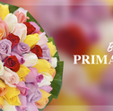 Buquês de Primavera: Um Motivo a Mais para Sorrir!