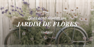 Dicas para Montar um Jardim de Flores