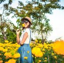 Quais São os Principais Benefícios da Aromaterapia?