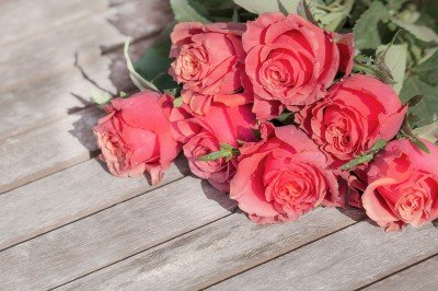 Flores na Lata: Decore sua Casa com Muita Criatividade
