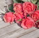 Flores na Lata: Decore sua Casa com Muita Criatividade