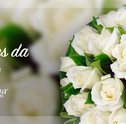 Flores da Paz: Um Sentimento para ser Compartilhado