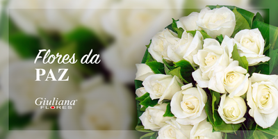 Flores da Paz: Um Sentimento para ser Compartilhado