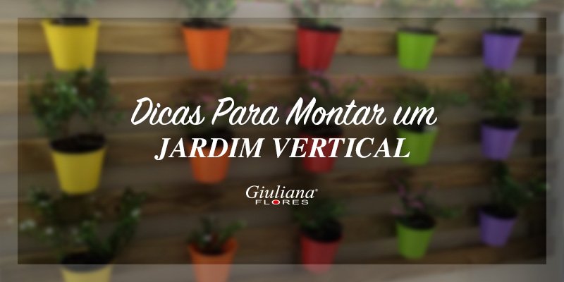 Dicas Para Montar um Jardim Vertical