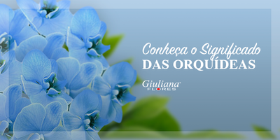 Conheça o Significado das Orquídeas