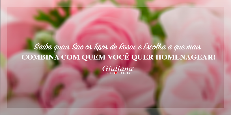 Saiba quais São os Tipos de Rosas e Escolha a Que Mais Combina com Quem Você quer Homenagear!
