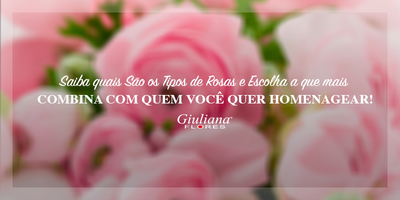 Saiba quais São os Tipos de Rosas e Escolha a Que Mais Combina com Quem Você quer Homenagear!