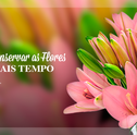 Mês do Leitor – Saiba Conservar as Flores por mais Tempo
