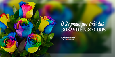 O Segredo por trás das Rosas de Arco-Íris – Saiba mais sobre essas Flores Multicoloridas