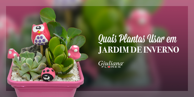 Mês do Leitor -Quais Plantas Usar em Jardim de Inverno