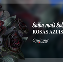 Saiba mais Sobre as Rosas Azuis e Pretas