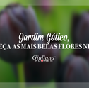 Jardim Gótico – Conheça as mais Belas Flores Negras