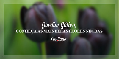 Jardim Gótico – Conheça as mais Belas Flores Negras