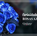 Mês do Leitor – Curiosidades Sobre as Rosas Azuis