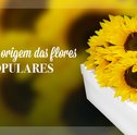 Mês do Leitor – Conheça a Origem das Flores Mais Populares