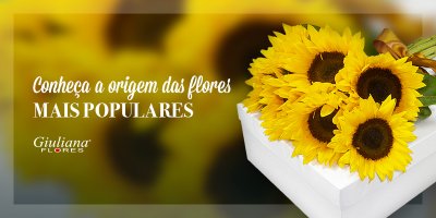 Mês do Leitor – Conheça a Origem das Flores Mais Populares