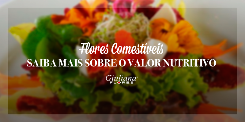 Flores Comestíveis – Saiba Mais Sobre o Valor Nutritivo das Flores