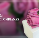 Conheça a Rainha das Flores: As Rosas Colombianas