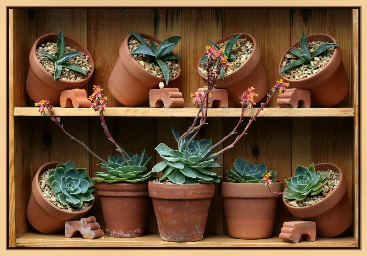 Saiba Como Escolher Vasos de Flores