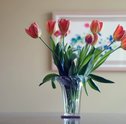 Como aproveitar as flores para alegrar e tornar mais linda a decoração da casa