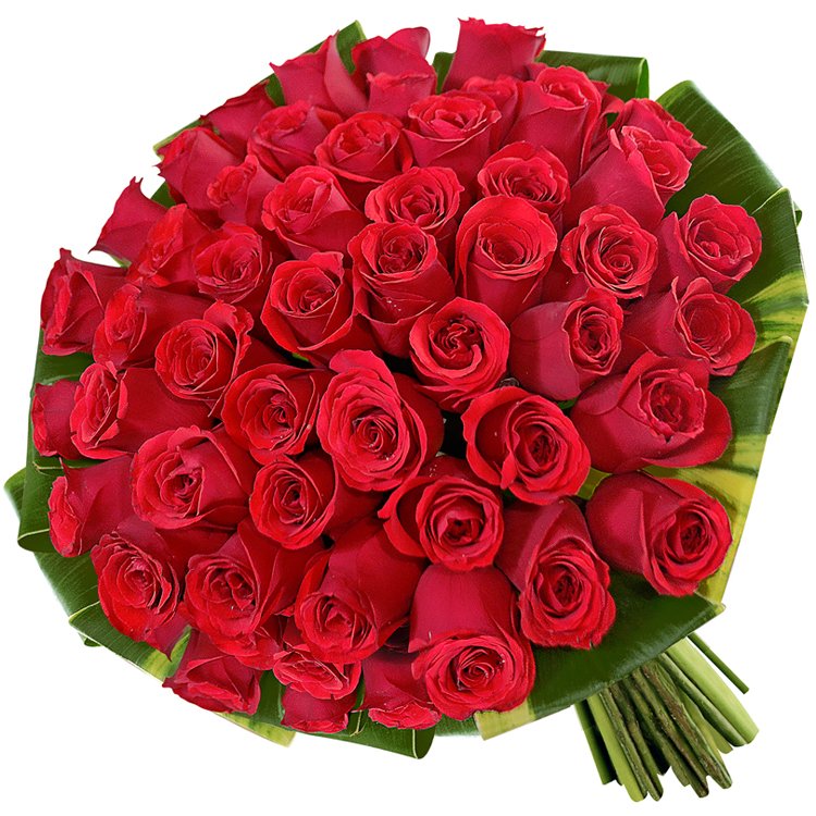 Buquê de Rosas: Uma Cor para Cada Ocasião