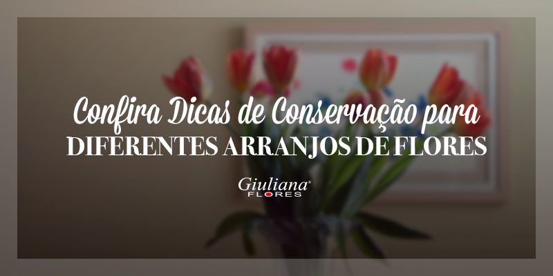 Confira Dicas de Conservação para Diferentes Arranjos de Flores
