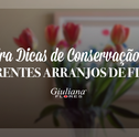 Confira Dicas de Conservação para Diferentes Arranjos de Flores