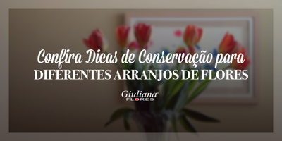 Confira Dicas de Conservação para Diferentes Arranjos de Flores