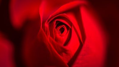 Rosas Colombianas — Presenteie com Buquês