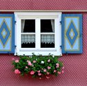 Conheça 7 Plantas que Trazem Bons Fluidos para Casa