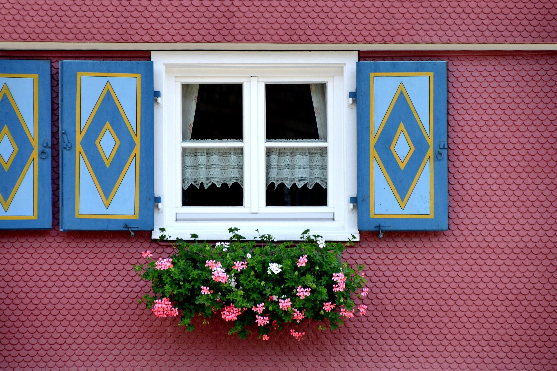 Conheça 7 Plantas que Trazem Bons Fluidos para Casa