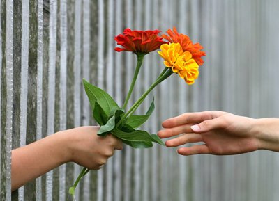 Confira Dicas para Evitar Gafes ao Presentear com Flores