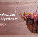 Como Decorar Ambientes Com Vasos De Plantas Pendurados