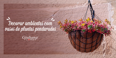 Como Decorar Ambientes Com Vasos De Plantas Pendurados