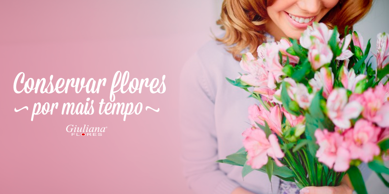Saiba Como Conservar Flores Por mais Tempo