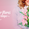 Saiba Como Conservar Flores Por mais Tempo