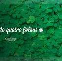 Trevo de Quatro Folhas – Saiba Mais Sobre Essa Planta Rara