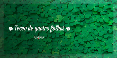 Trevo de Quatro Folhas – Saiba Mais Sobre Essa Planta Rara